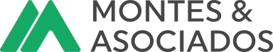 Logo montes y asociados