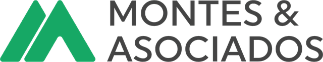 Logo montes y asociados